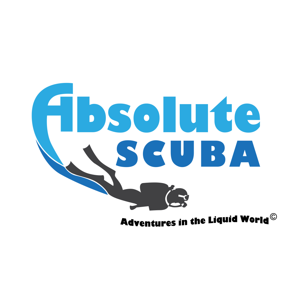 partner of water world.