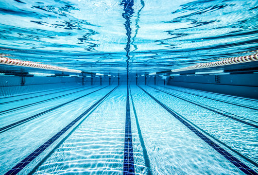 swimming_five